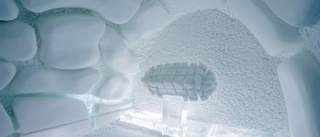 Bildspecial: Se årets upplaga av Icehotel