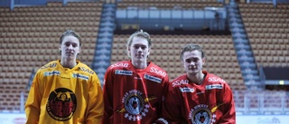 Talangerna vi inte har fått se i SHL