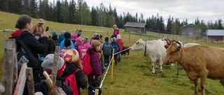 Ringelskolans tvåor besökte Granberget