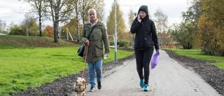 Alla nöjda med nya Blodomloppet