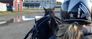 Full fart - Det handlar om ponnytrav, så klart