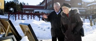 Konstförening skapade konstinstallation i snön