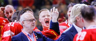 Sporten summerar 2015 – två VM-guld till länet