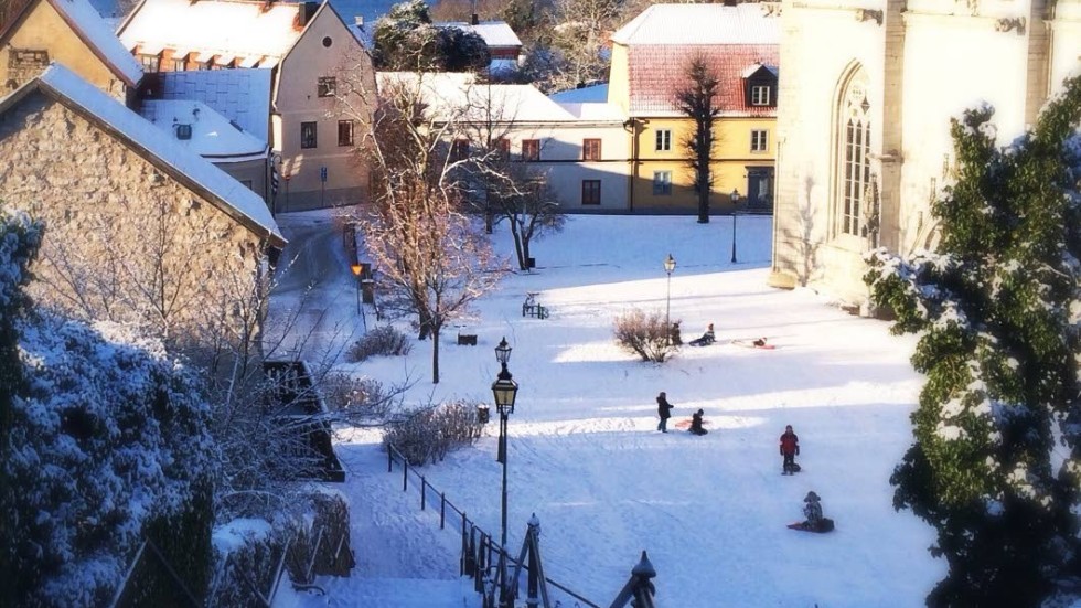 Tidigt på morgonen anmäldes en misshandel och ett ofredande utanför domkyrkan.