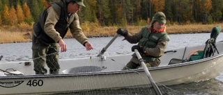 Nätfiske för framtiden