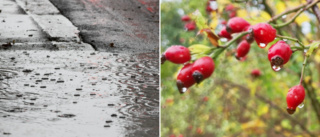 Så blir vädret på Gotland i helgen • Meteorologen: "Kanske inte den soligaste""