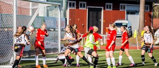 Luleå DFC glänste mot Kiruna