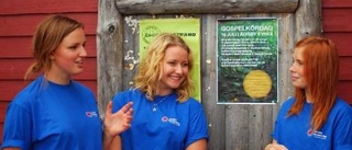 Sommarkyrkan arrangerar gospelkördag före konsert