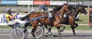 Rafflande när Petter vann storloppet