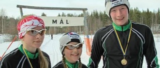 Alla tog medalj i Lilla Andörjan