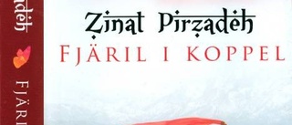 Zinat Pirzadeh gör romandebut