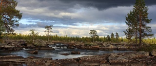 Jättesatsning på flottningsälvarna