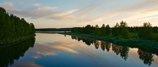 Foto med naturen i centrum