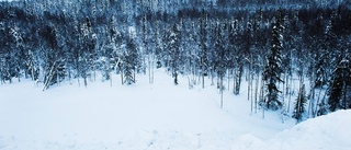 Minst två snörekord