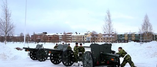 Kunglig salut för prinsessbarnets födelse