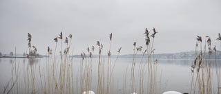 Låt inte kommunerna få bestämma om strandskyddet