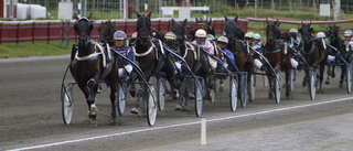 B.Sacamano jagar tredje raka segern i Bodens V64-omgång - mäktig 3-årsfinal och Mäster Gustafs Pokal