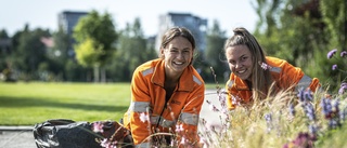 Sköter om blomstrande Skellefteå