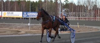 Prisade amatören kör löftet i årsdebuten