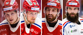 Almtunaseptetten som gör succé i SHL-jagande Timrå