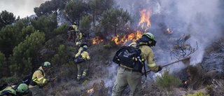 Regn underlättar släckningsarbetet i Spanien