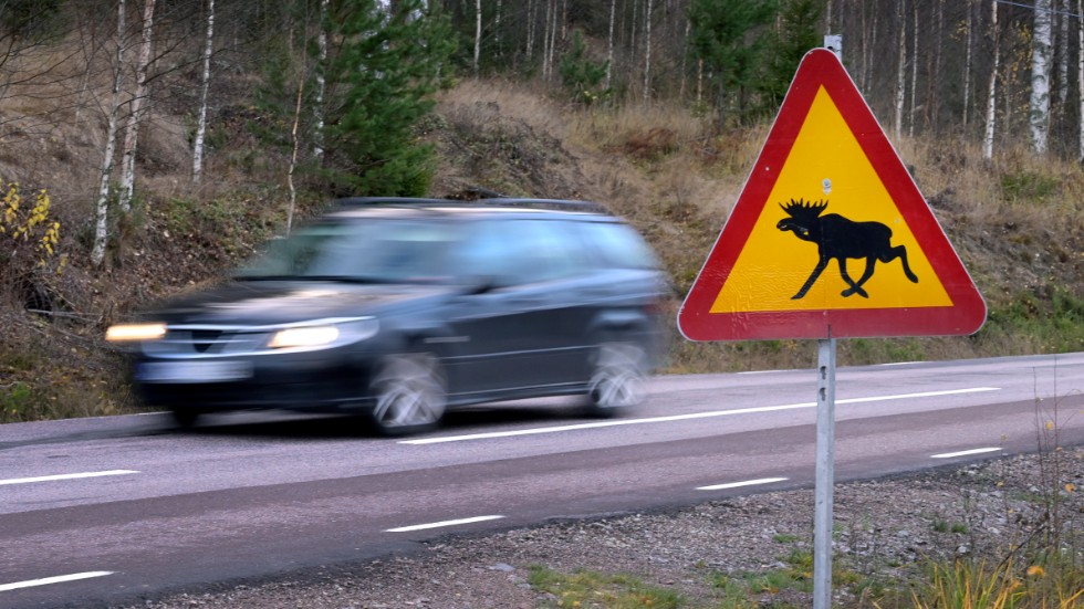 Ta det lugnt på vägarna, särskilt under skymning och gryning, är polisens devis. 


