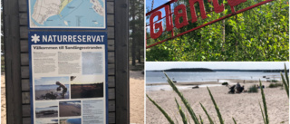 Sandängesstranden – ett naturskyddsområde för vem?   