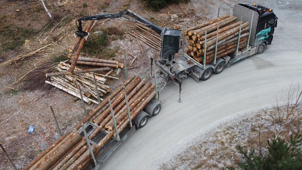 Nedsättningarna av vägarnas bärighet under vår och försommar har tillsammans med den strikta hanteringen av vägdispenser gjort situationen ohållbar, skriver bland andra Jonas Eriksson, medlemschef Norra Skog.