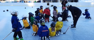 Luleåklubbarna vill slås ihop – planerar hockeysektion