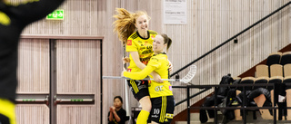 Se matchen i repris: Pixbo-Endre, semifinal 5:5