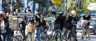 ”Jag fasar för det kaos som bygdevägar på Fårö kommer att skapa”