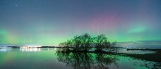 Magnifikt norrsken fångat utanför Linköping