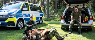 Soldater avbryter semestern för att hjälpa i sökandet