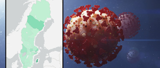 Västerbotten har näst störst smittspridning i landet – men Skellefteå ligger under snittet