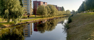 Bodån ligger segelblank       