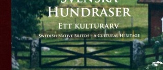 Maffig samling av kulturarvet: hunden