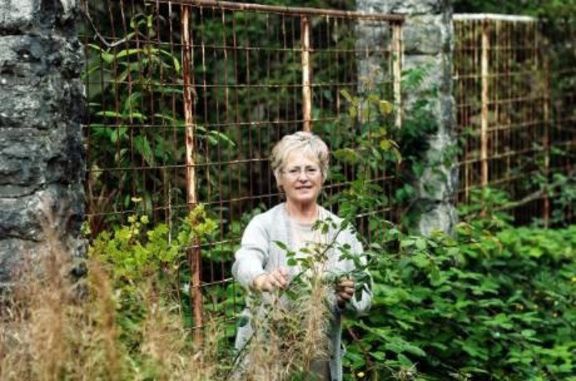 Överlevare. Barbro Ekström visar en klätterros som har klarat sig vid spaljen med stenpelare. Till vänster syns fröplantor från krusbär och rynkolvon som funnits på andra platser i trädgården.foto: rolf jönsson