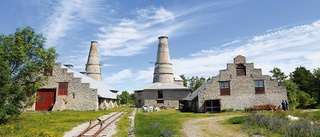 Gotländskt museum får två miljoner kronor