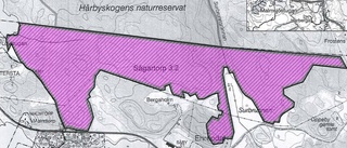 Här kan det blir nytt naturreservat i Gnesta