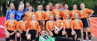 DFK-brons i stora Dalacupen