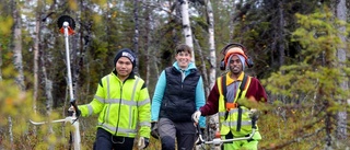 Nyanländ i skogen – var vänlig röj