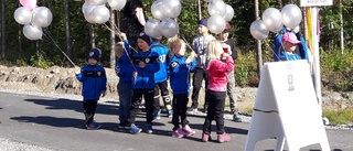 Ett hundratal på viktigaste promenaden