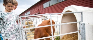 BILDER: Succéfestivalen lockade tusentals