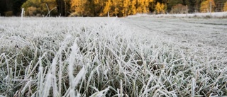 SMHI: Meteorologisk vinter i nästan hela landet