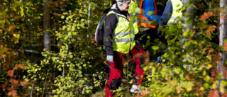 Bärplockare eller jägare kanske löser fallet med försvunne Olle Forsberg – polisen: ”Vi har gjort massor” 