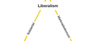 Konservativa och socialister förenas i tron på gruppidentiteter