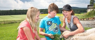 Barnen ville bo på lantgård