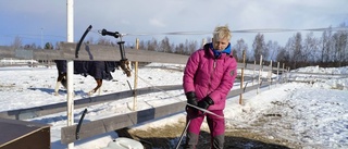 Vattenkrisen blir ett hästjobb