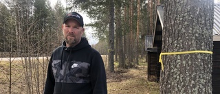 Boende tar strid mot trädfällning: "Jag är helt bestört"