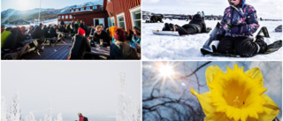 Här är det störst solchans i länet under hela påskhelgen • Stort väderextra ✓  Fjällen ✓  Luleåområdet ✓ Tornedalen 